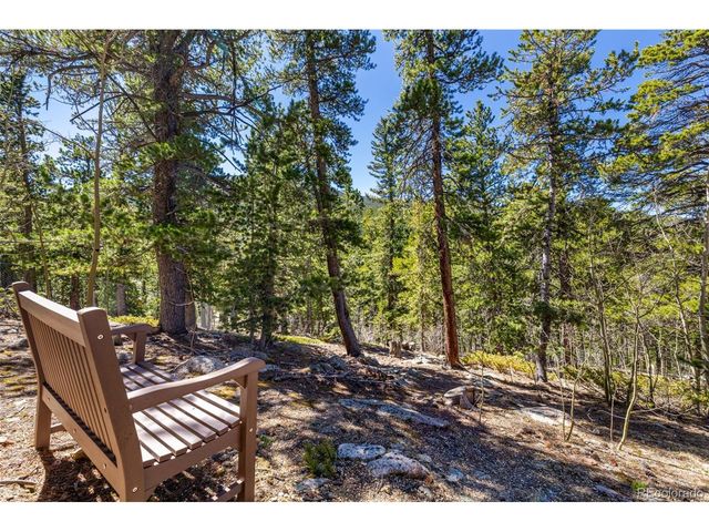260 Pine Dr, Idaho Springs, CO 80452