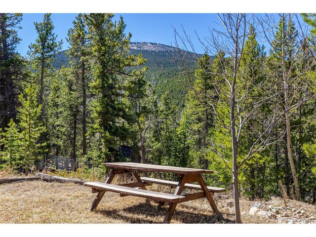 260 Pine Dr, Idaho Springs, CO 80452