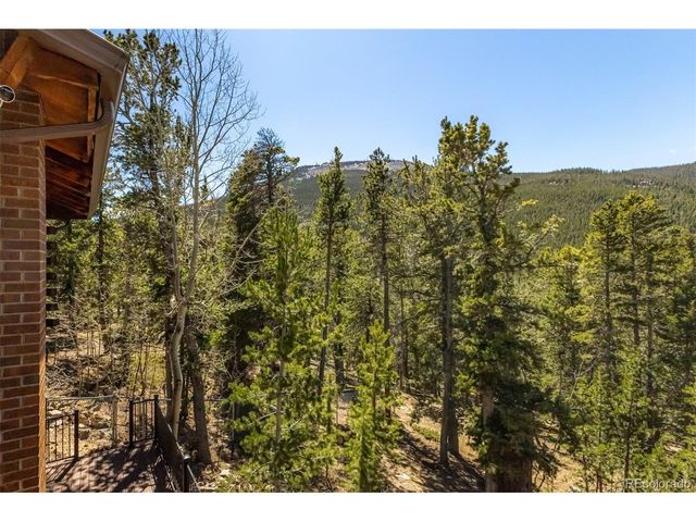260 Pine Dr, Idaho Springs, CO 80452