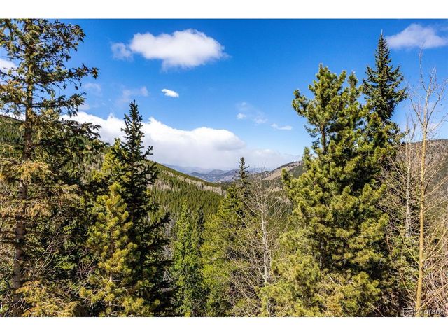 260 Pine Dr, Idaho Springs, CO 80452