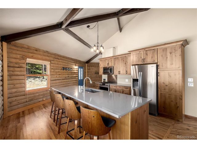 260 Pine Dr, Idaho Springs, CO 80452