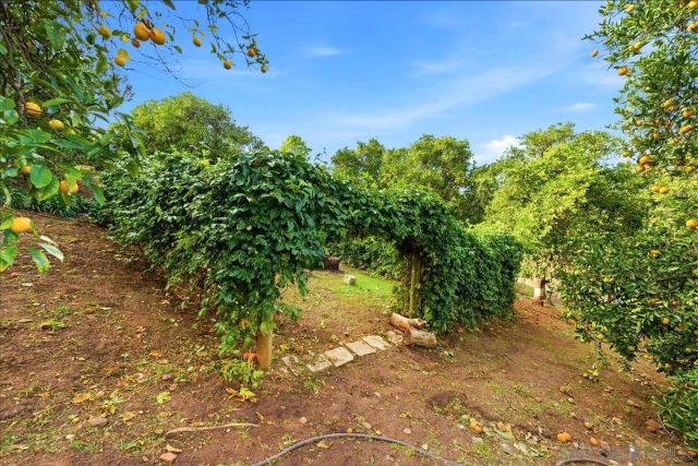 11568 Minneola Cir, Valley Center, CA 92082