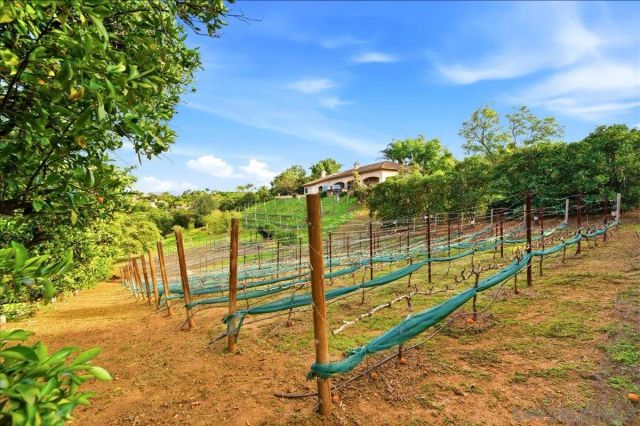 11568 Minneola Cir, Valley Center, CA 92082