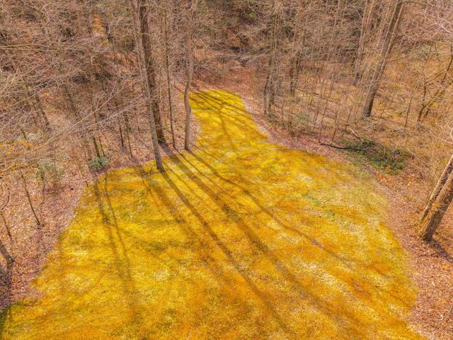 135 Methodist Drive, Whitley City, KY 42653