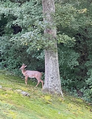 135 Methodist Drive, Whitley City, KY 42653