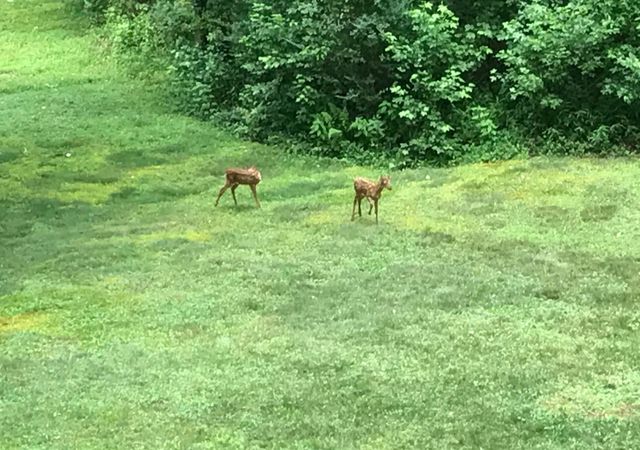 135 Methodist Drive, Whitley City, KY 42653