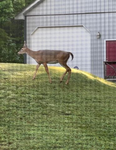 135 Methodist Drive, Whitley City, KY 42653