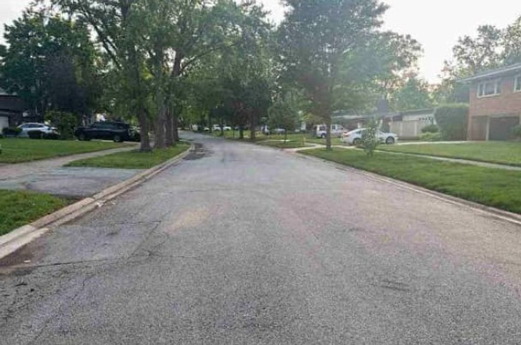 2914 Macfarlane Cres, Flossmoor, IL 60422 — photo 3