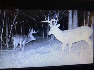 5273 Sinking Creek Rd, Linden, TN 37096