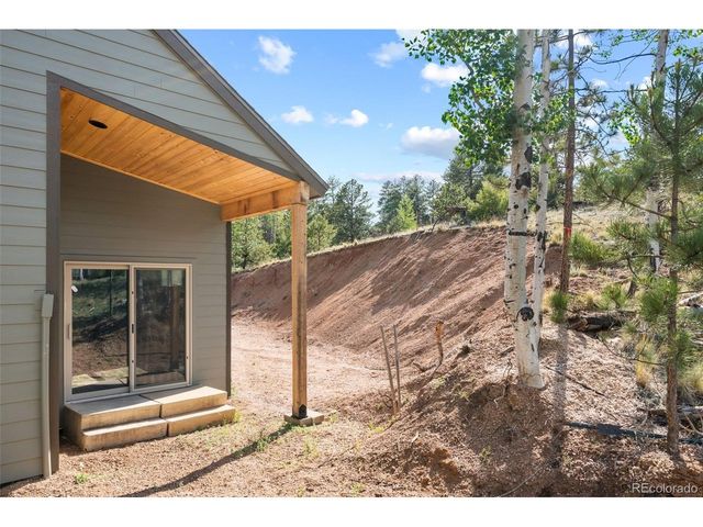 2270 Pikes Peak Dr, Florissant, CO 80816