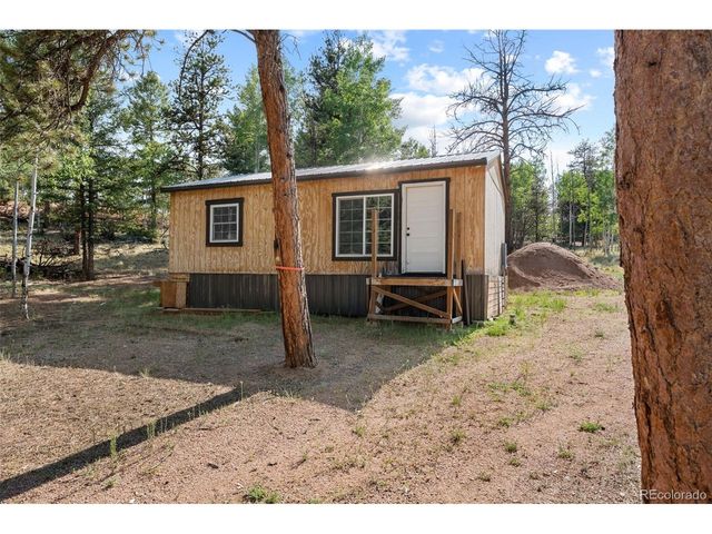 2270 Pikes Peak Dr, Florissant, CO 80816