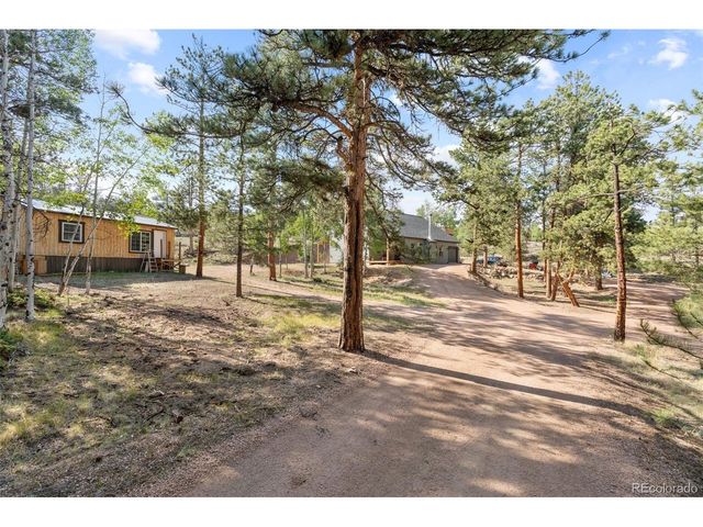 2270 Pikes Peak Dr, Florissant, CO 80816