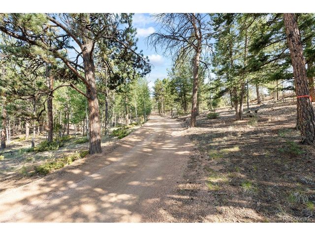 2270 Pikes Peak Dr, Florissant, CO 80816