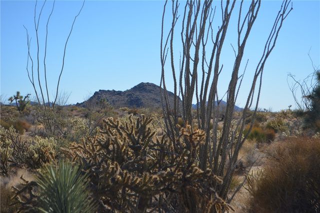 350 Arapaho Drive, Yucca, AZ 86438