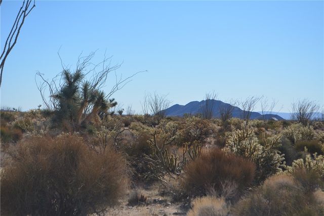 350 Arapaho Drive, Yucca, AZ 86438