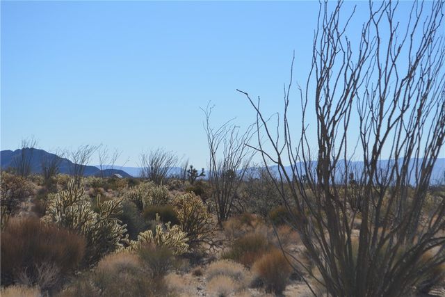 350 Arapaho Drive, Yucca, AZ 86438