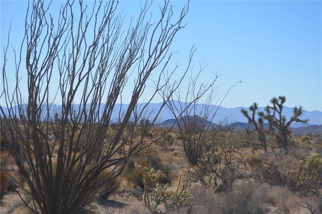 350 Arapaho Drive, Yucca, AZ 86438