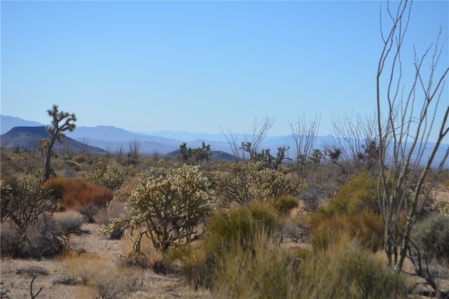 350 Arapaho Drive, Yucca, AZ 86438