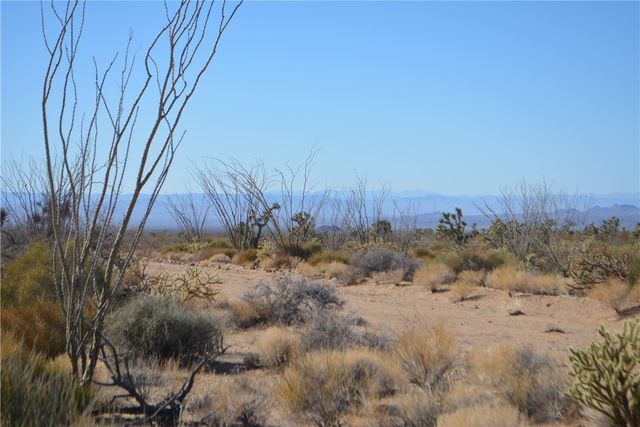 350 Arapaho Drive, Yucca, AZ 86438