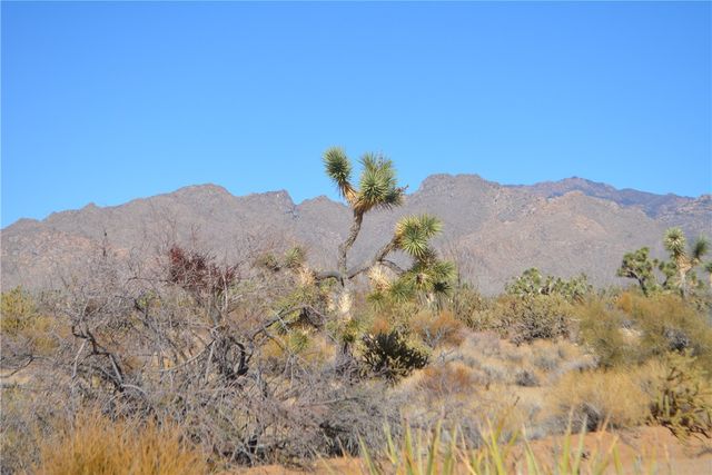 350 Arapaho Drive, Yucca, AZ 86438