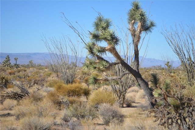 350 Arapaho Drive, Yucca, AZ 86438