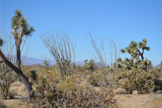 350 Arapaho Drive, Yucca, AZ 86438