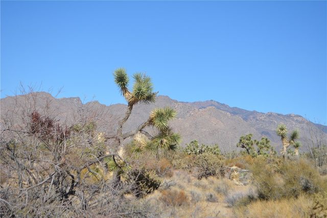 350 Arapaho Drive, Yucca, AZ 86438