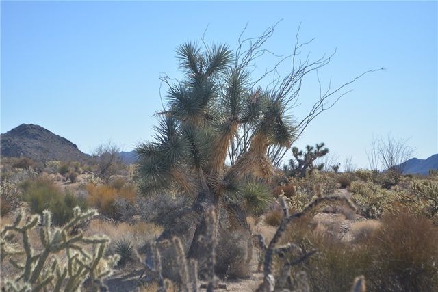 350 Arapaho Drive, Yucca, AZ 86438