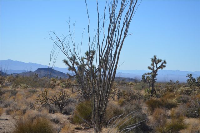 350 Arapaho Drive, Yucca, AZ 86438