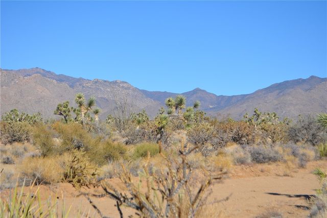 350 Arapaho Drive, Yucca, AZ 86438