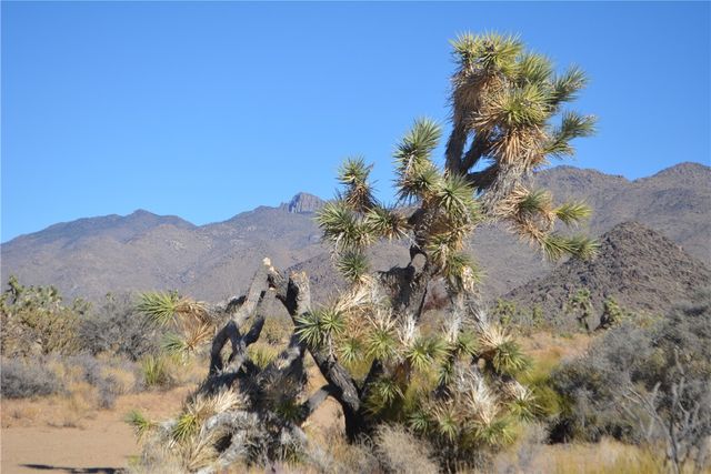 350 Arapaho Drive, Yucca, AZ 86438