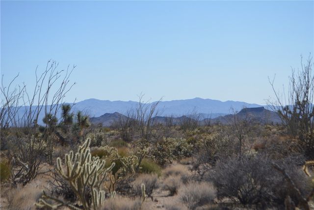 350 Arapaho Drive, Yucca, AZ 86438