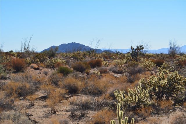 350 Arapaho Drive, Yucca, AZ 86438