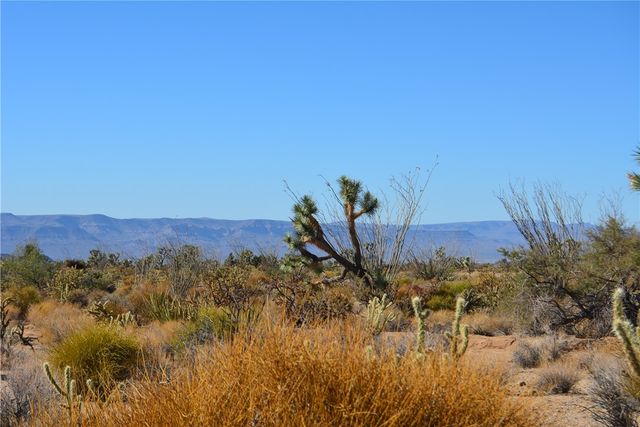 350 Arapaho Drive, Yucca, AZ 86438