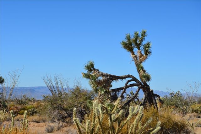 350 Arapaho Drive, Yucca, AZ 86438