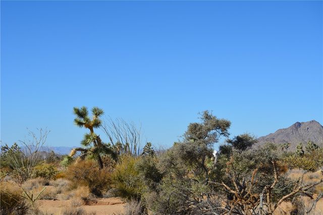 350 Arapaho Drive, Yucca, AZ 86438