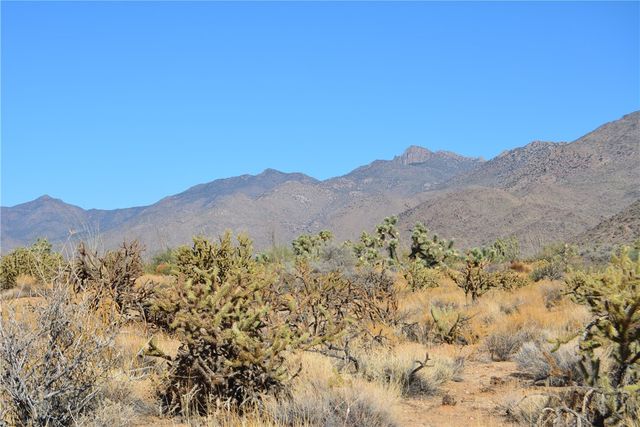 350 Arapaho Drive, Yucca, AZ 86438