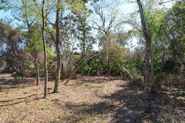 19 SPRING RIDGE DRIVE, Debary, FL 32713