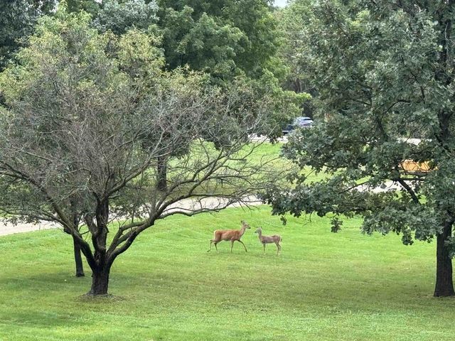 7130 N US Hwy 51, Janesville, WI 53545