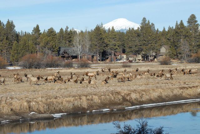 55635 Gatehouse Lane, Bend, OR 97707