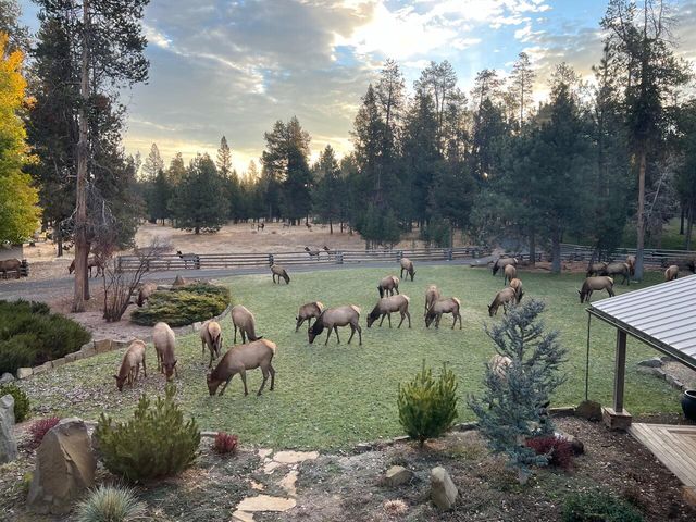 55635 Gatehouse Lane, Bend, OR 97707