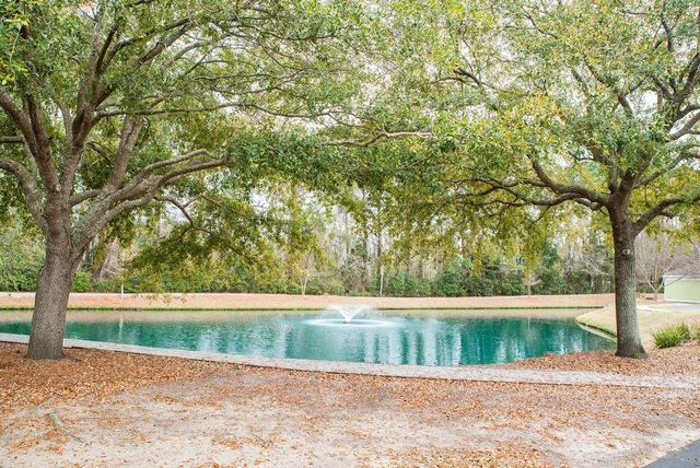 2322 Chatelain Way, Mount Pleasant, SC 29464