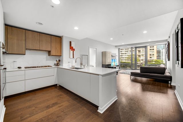 240 E Illinois Street 1004, Chicago, IL 60611