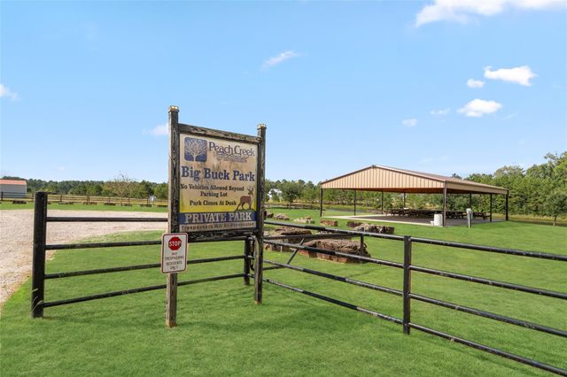 21206 Peach Wood, Cleveland, TX 77328
