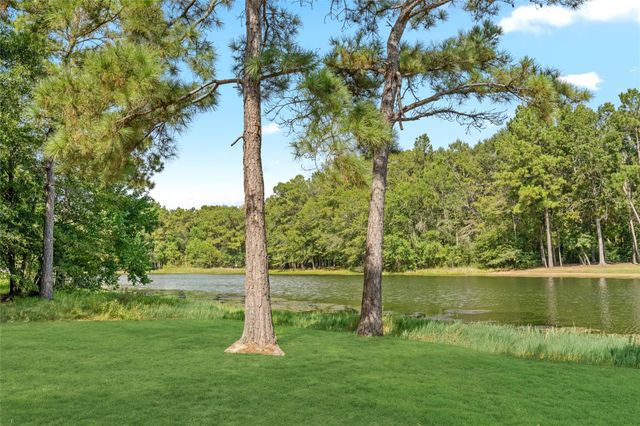 21206 Peach Wood, Cleveland, TX 77328