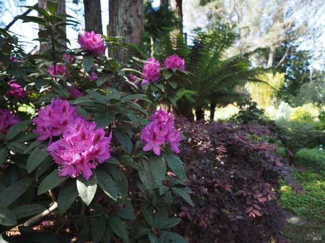 626 Gold Ridge Rd, Sebastopol, CA 95472