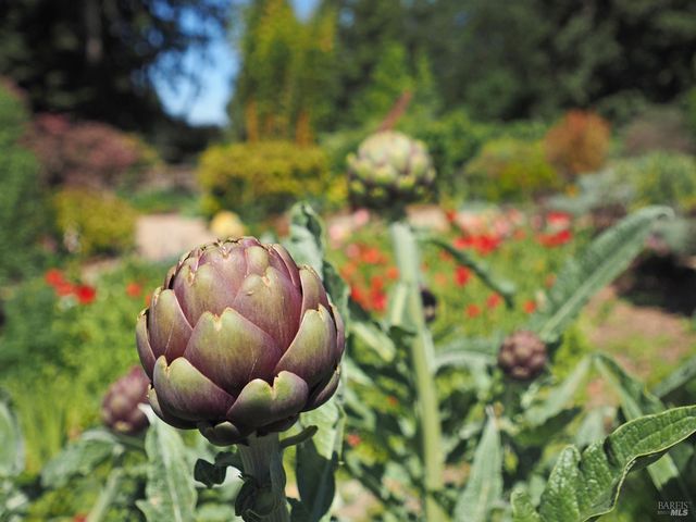 626 Gold Ridge Rd, Sebastopol, CA 95472