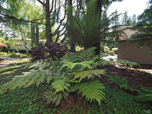 626 Gold Ridge Rd, Sebastopol, CA 95472