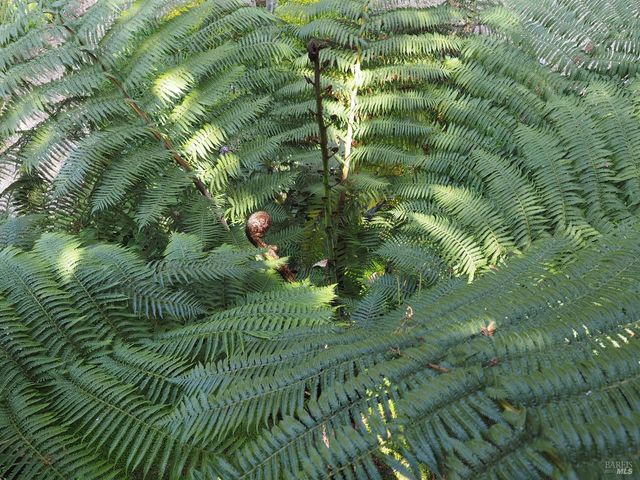 626 Gold Ridge Rd, Sebastopol, CA 95472