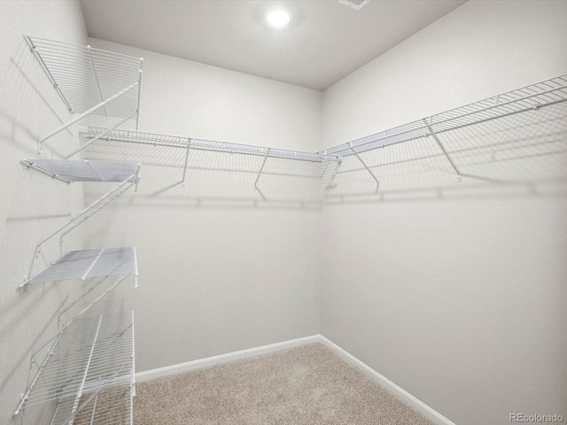 4644 Sugarcane Street, Johnstown, CO 80534